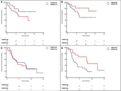 Excision Repair Cross Complementation Group 1 Single Nucleotide Polymorphisms and Nivolumab in Advanced Non-Small Cell Lung Cancer
